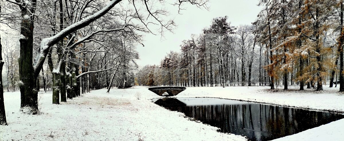 В парке прошел снег - 1 - Сергей 