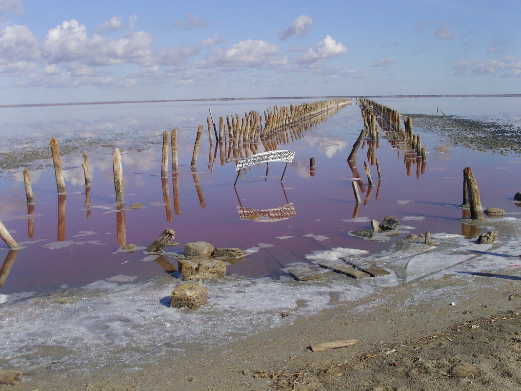 Озеро Сасык-Сиваш (Розовое солёное озеро) - Виктор Мухин