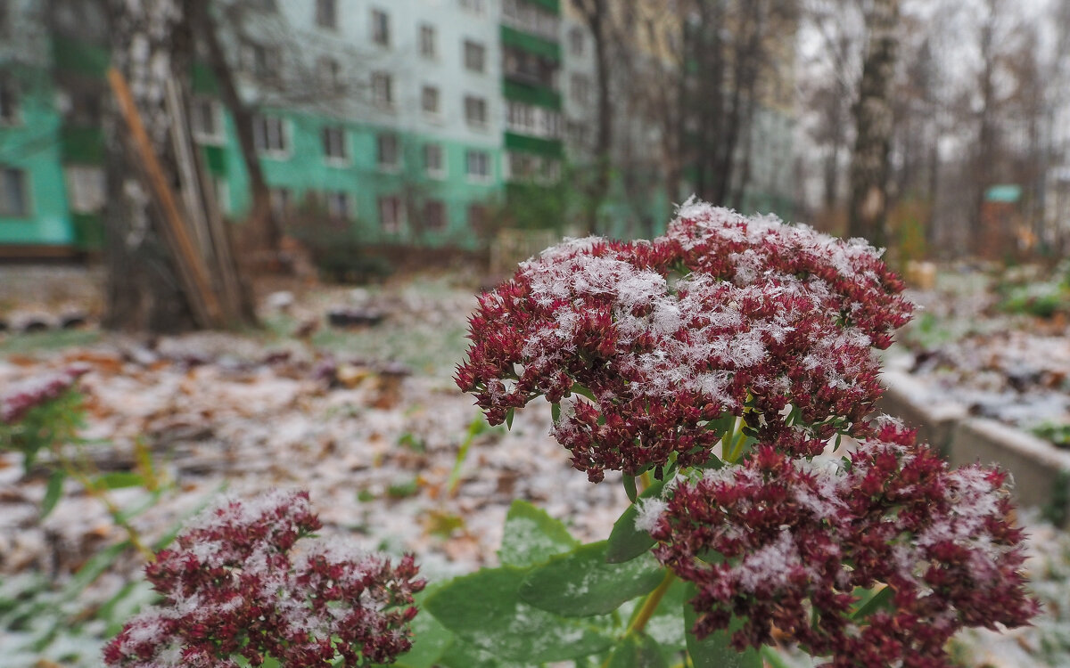 Припорошило - юрий поляков