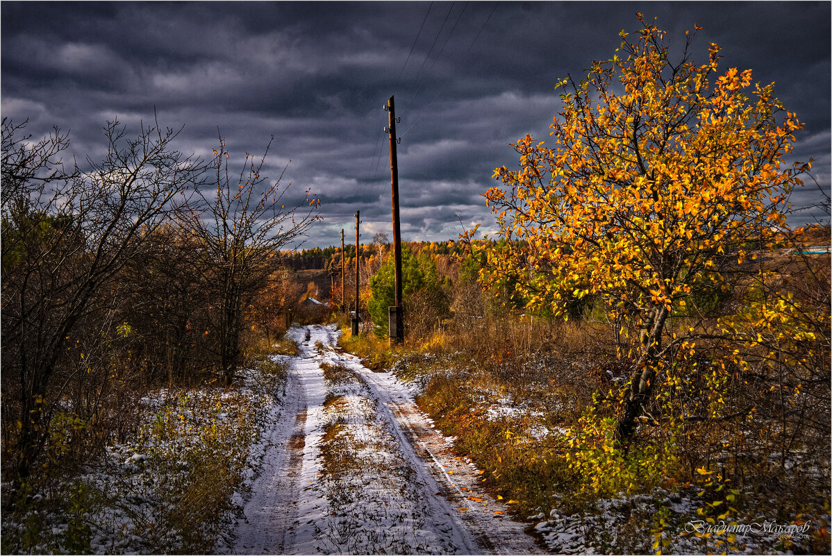 "Позолота, снег и свет"© - Владимир Макаров