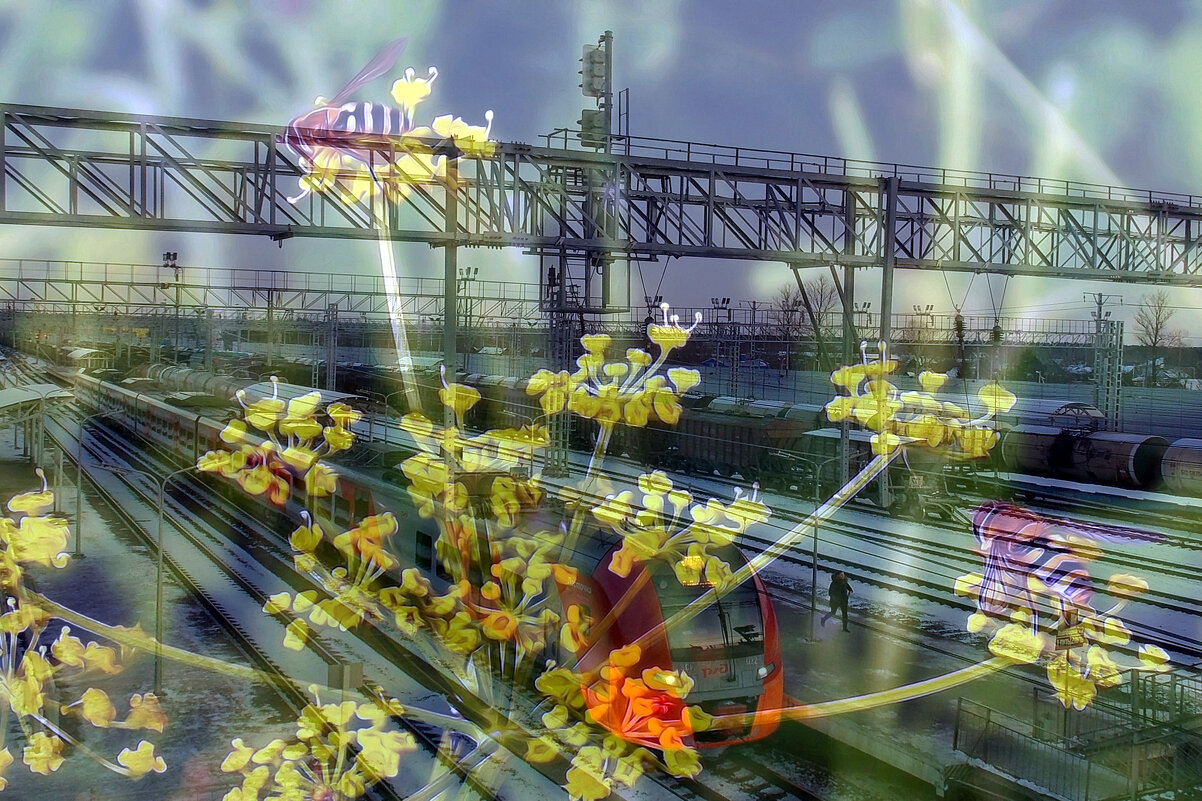 " Поезд  рaдостно   спешит  в  никудa...." - Фотогруппа Весна