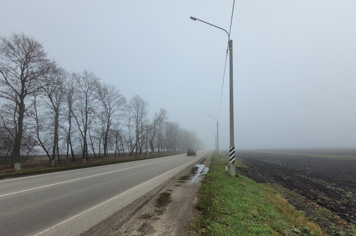 Уезжаем в туман - Татьяна Машошина