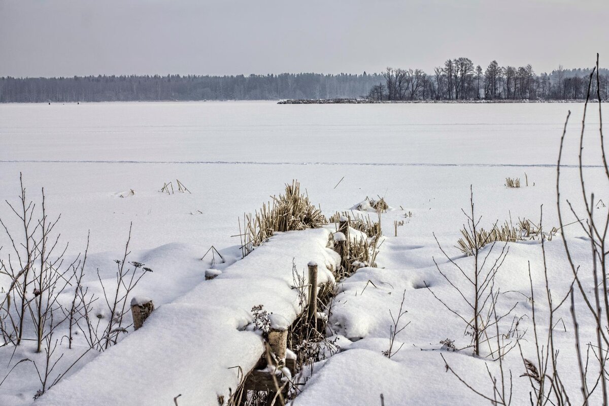 Волга зимой - Дмитрий Балашов
