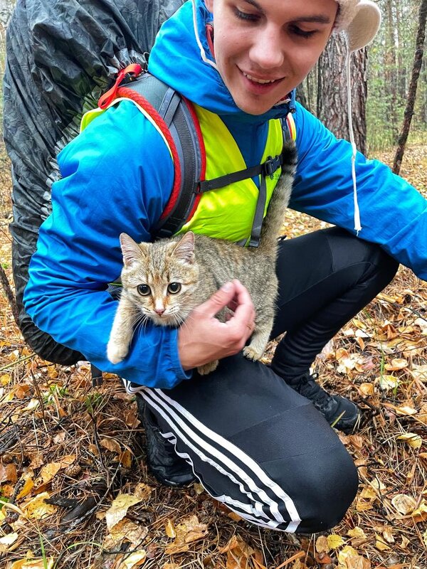 Туристы,друзья кошек - Георгиевич 