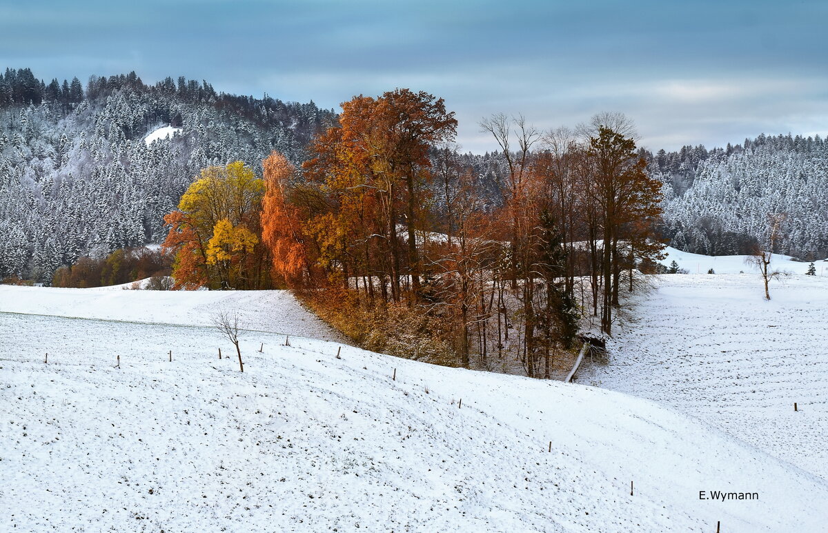 winter - Elena Wymann