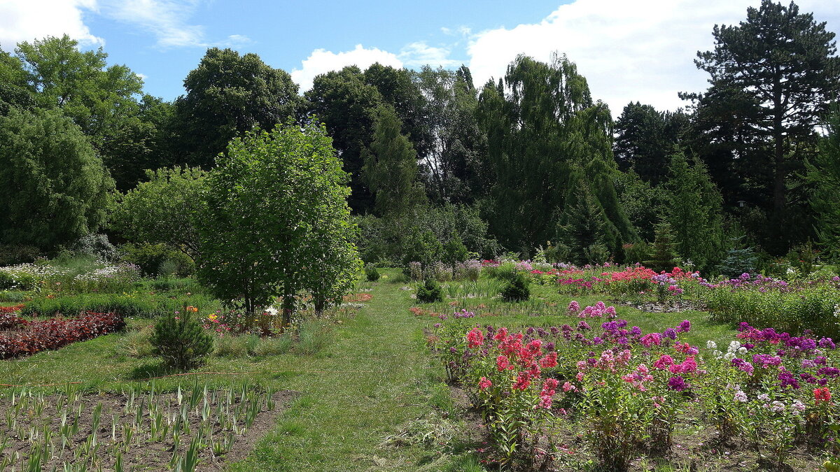 Ботанический сад, Калининград - Маргарита Батырева
