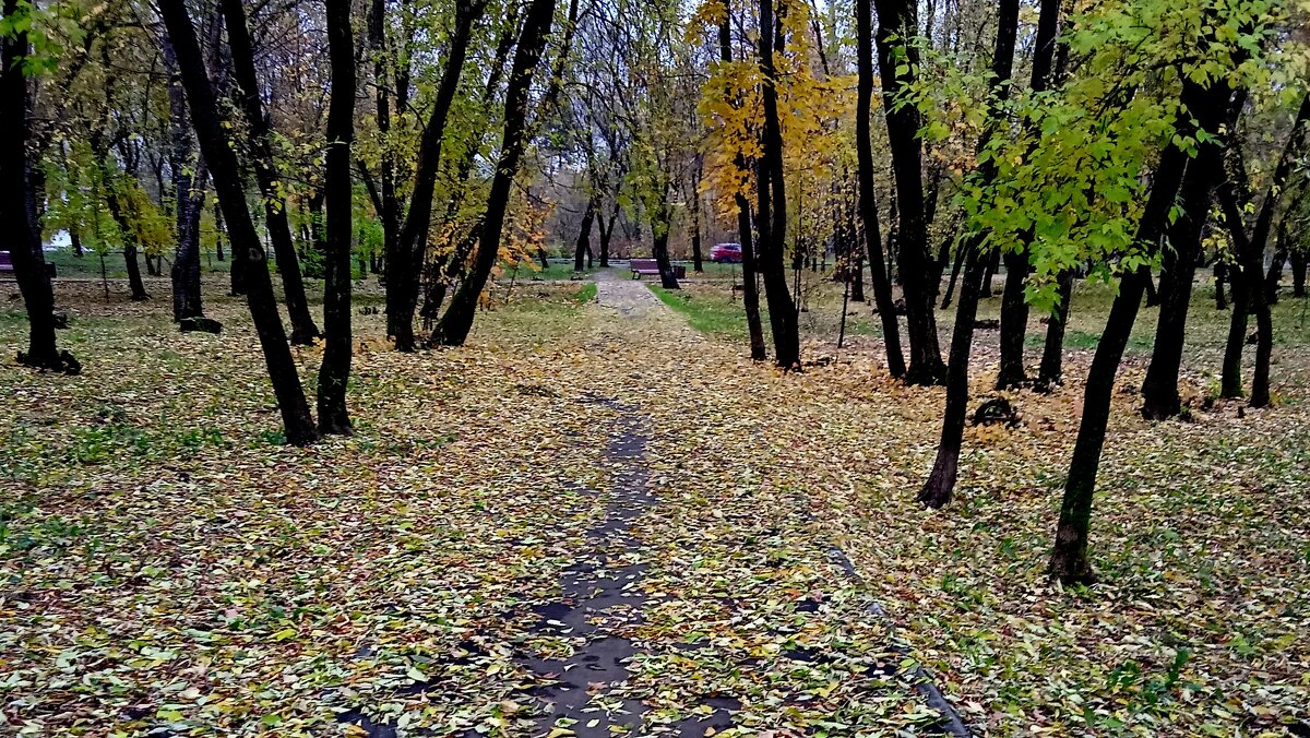 Парк ,Пермь. закамск - Александр Москалев