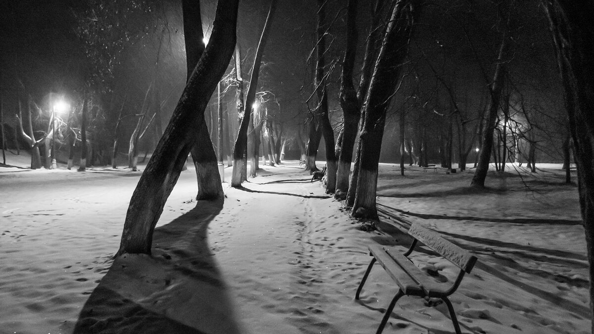 В зимнем парке - Валерий Иванович