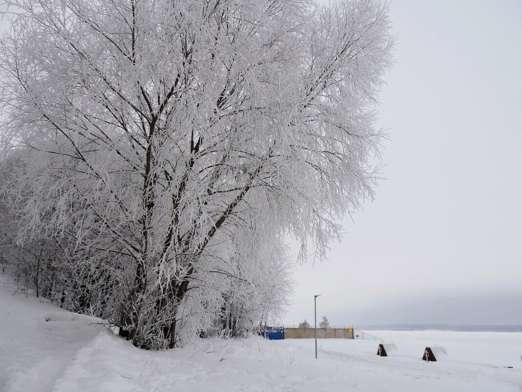 Берег Волги в морозный день - Ната Волга