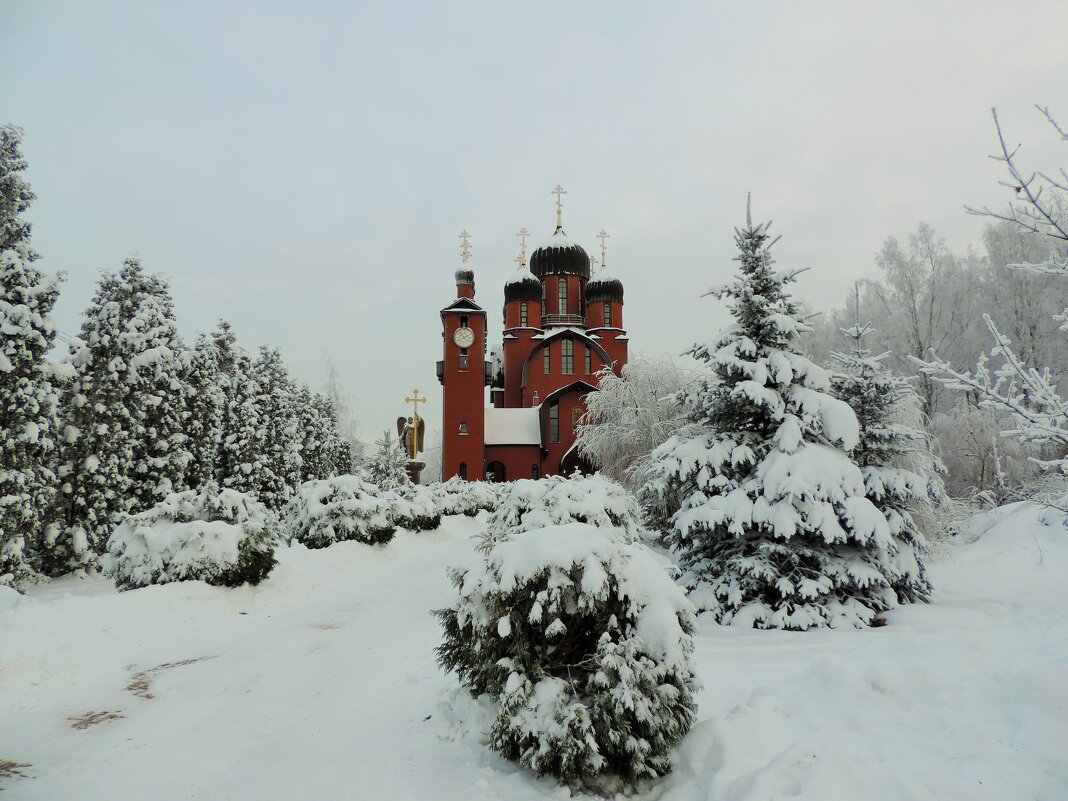 В зимнем плену - Ирина 