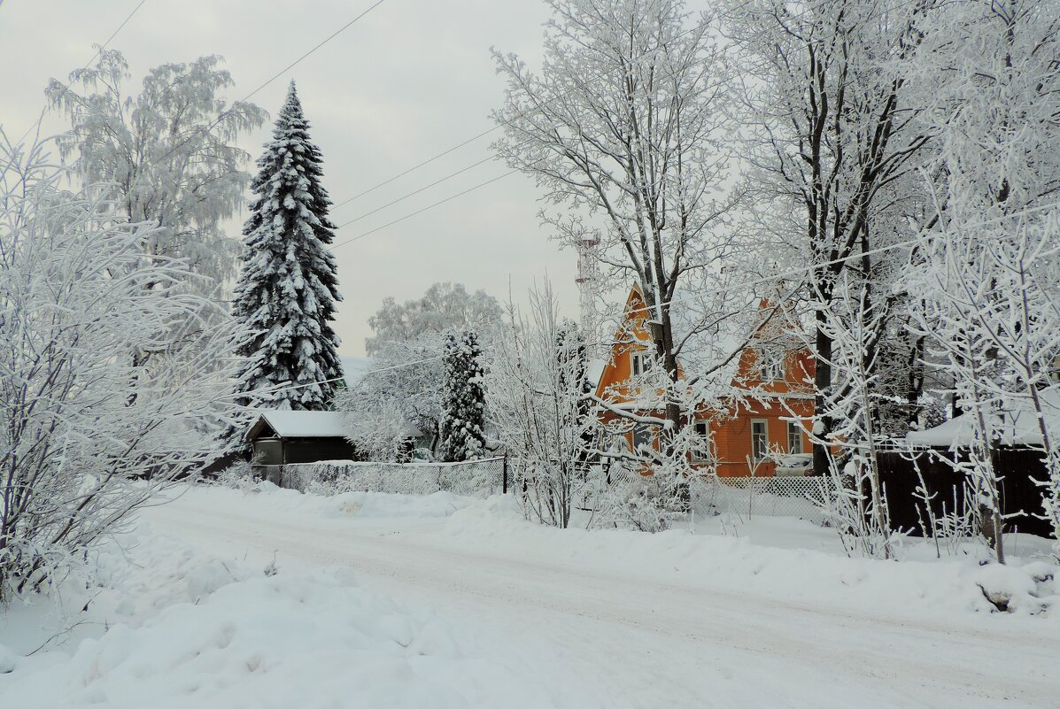 Зима в Токсово - Ирина 