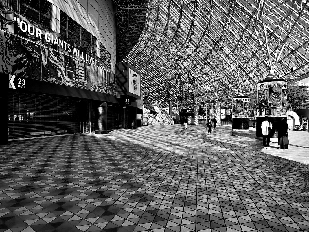 В паутине света "Tokyo Dome" Токио Япония - wea *