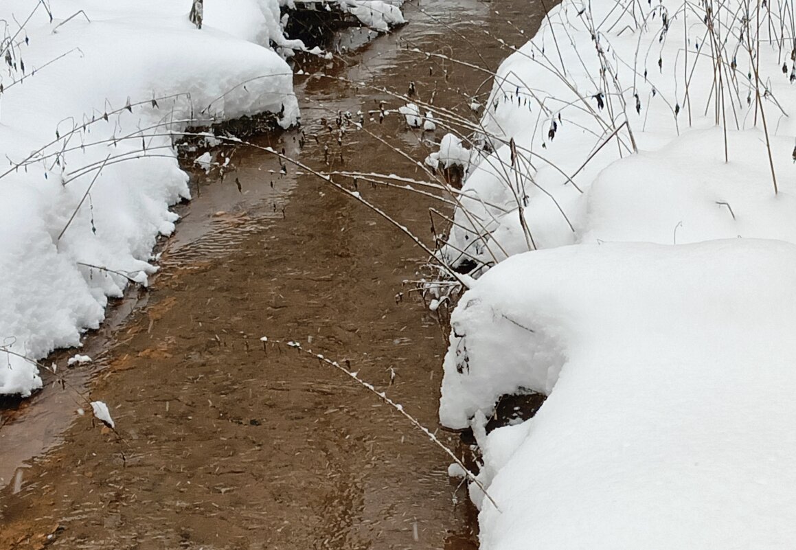 на водопое - Владимир 