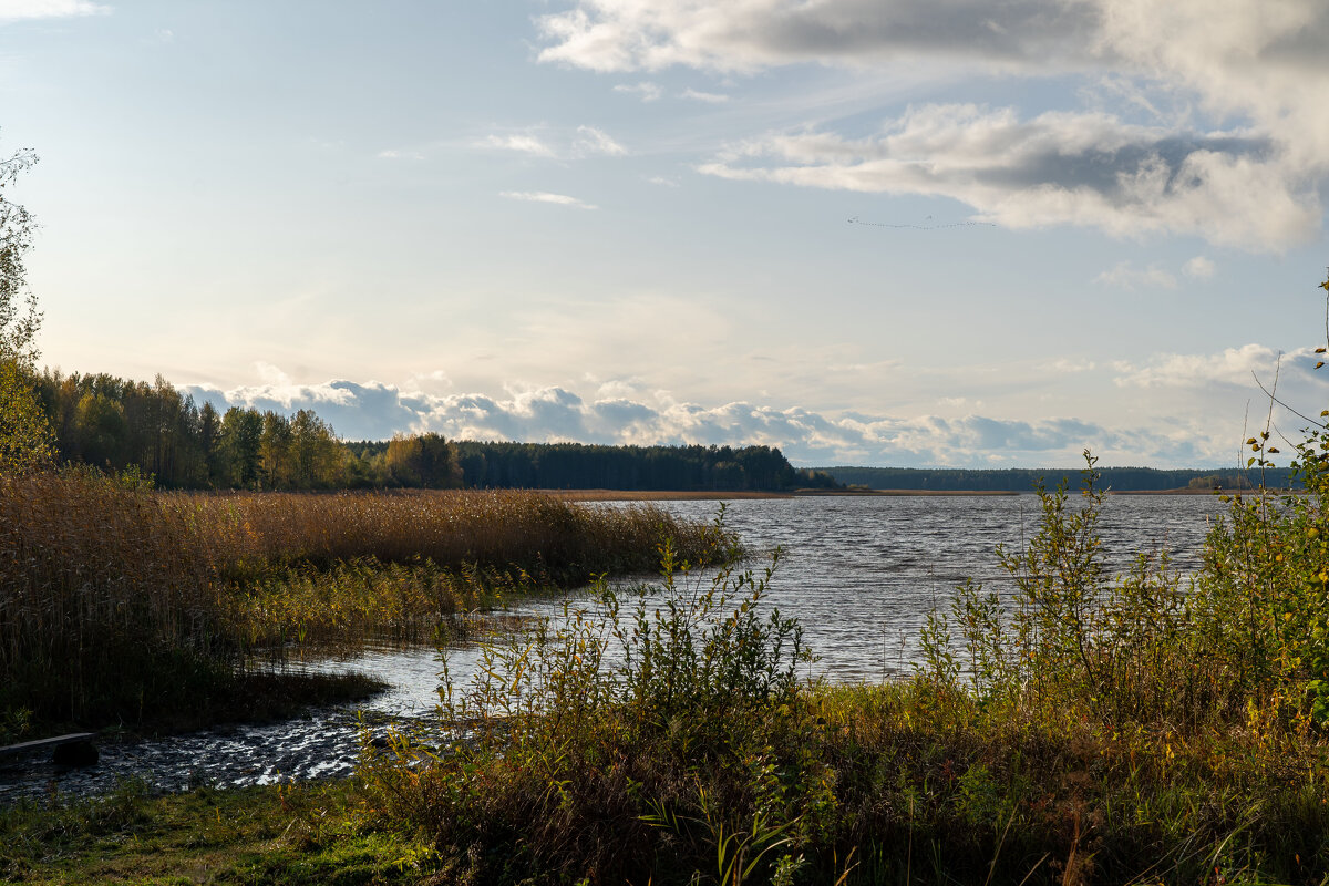 Озеро Селигер в октябре. - Андрей Уткин