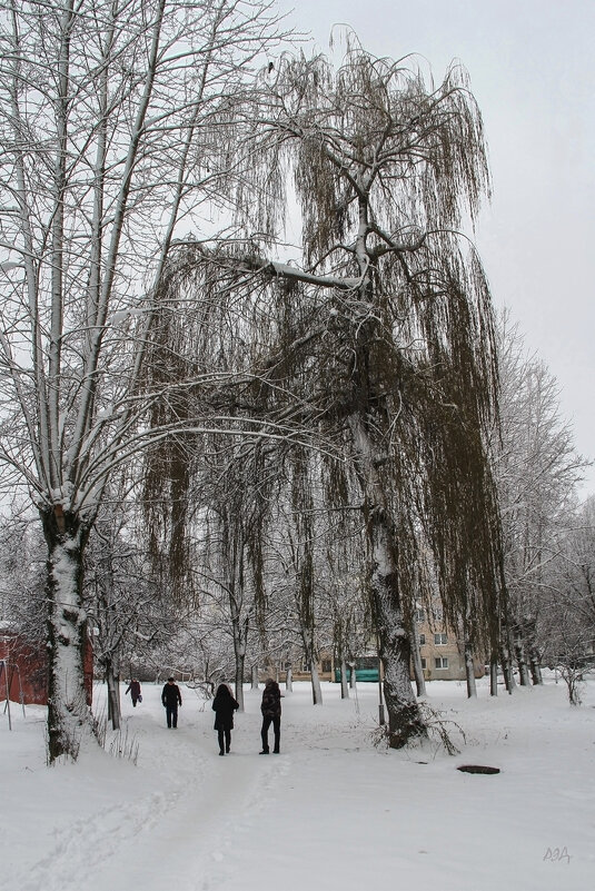 *** - Роланд Дубровский