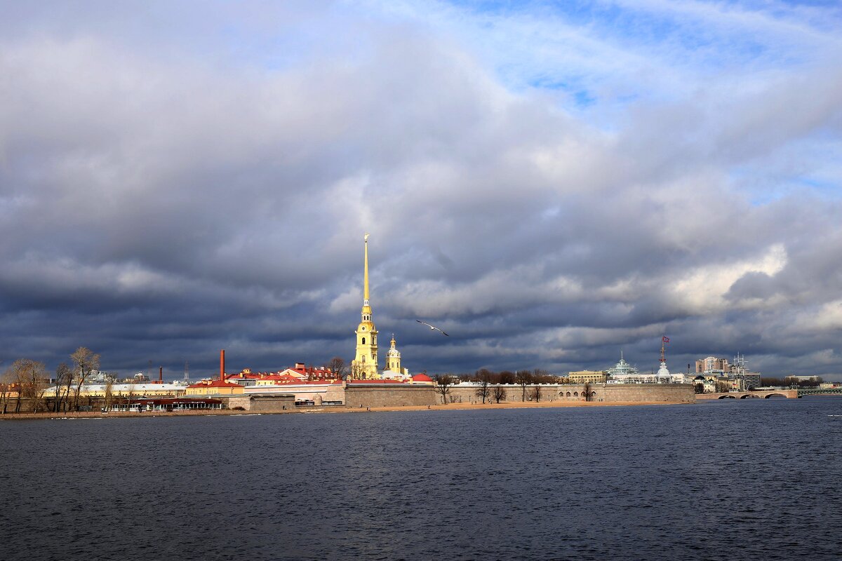 Санкт-Петербург, вид на Петропавловскую крепость - Светлана Тихонина
