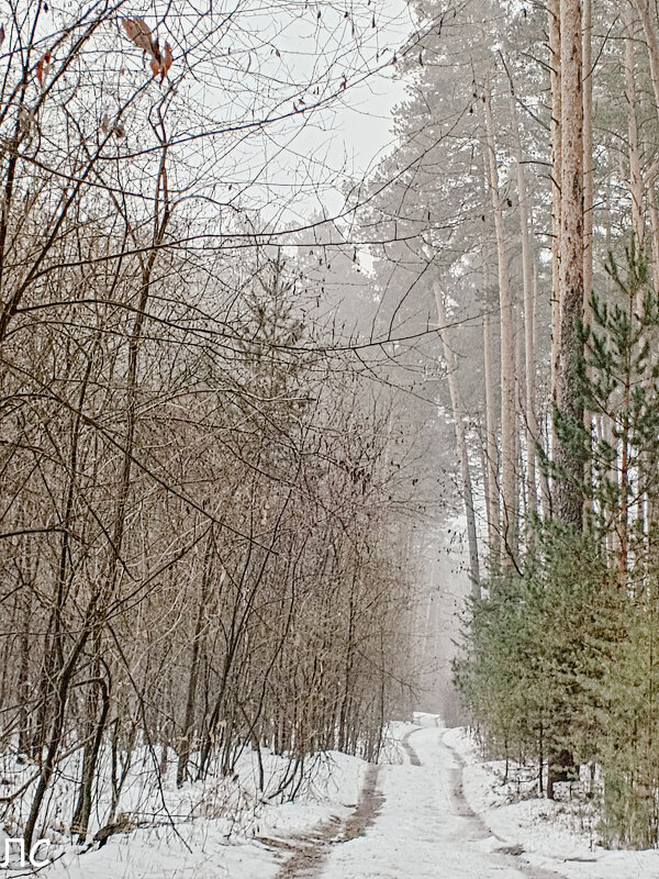 Утро туманное - Любовь Сахарова