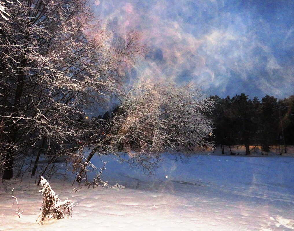 Зимним утром у озера - Андрей Снегерёв