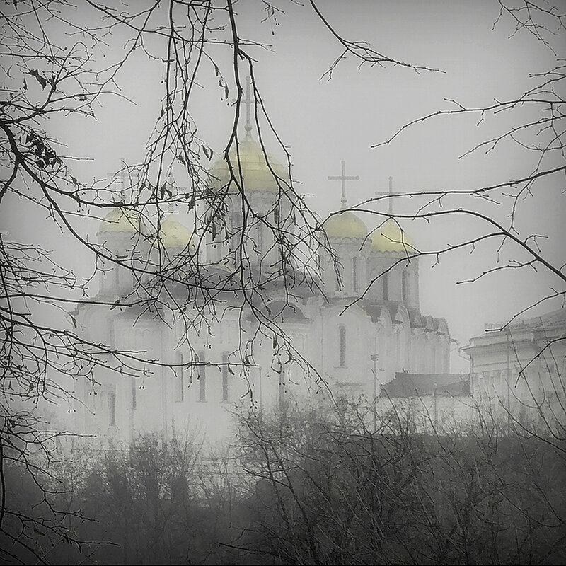 В тумане... - Владимир Шошин