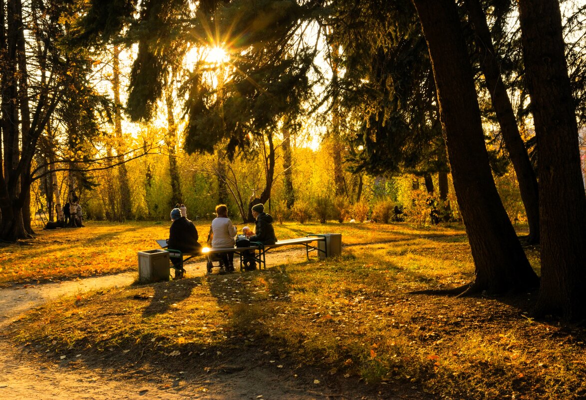 Осенний вечер в парке - Наталья 
