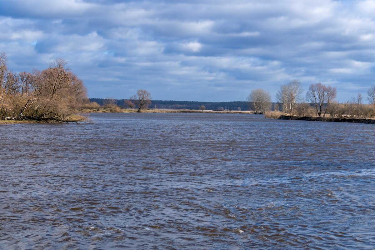 Река Днепр, Беларусь, Могилёвская область - Игорь Сикорский