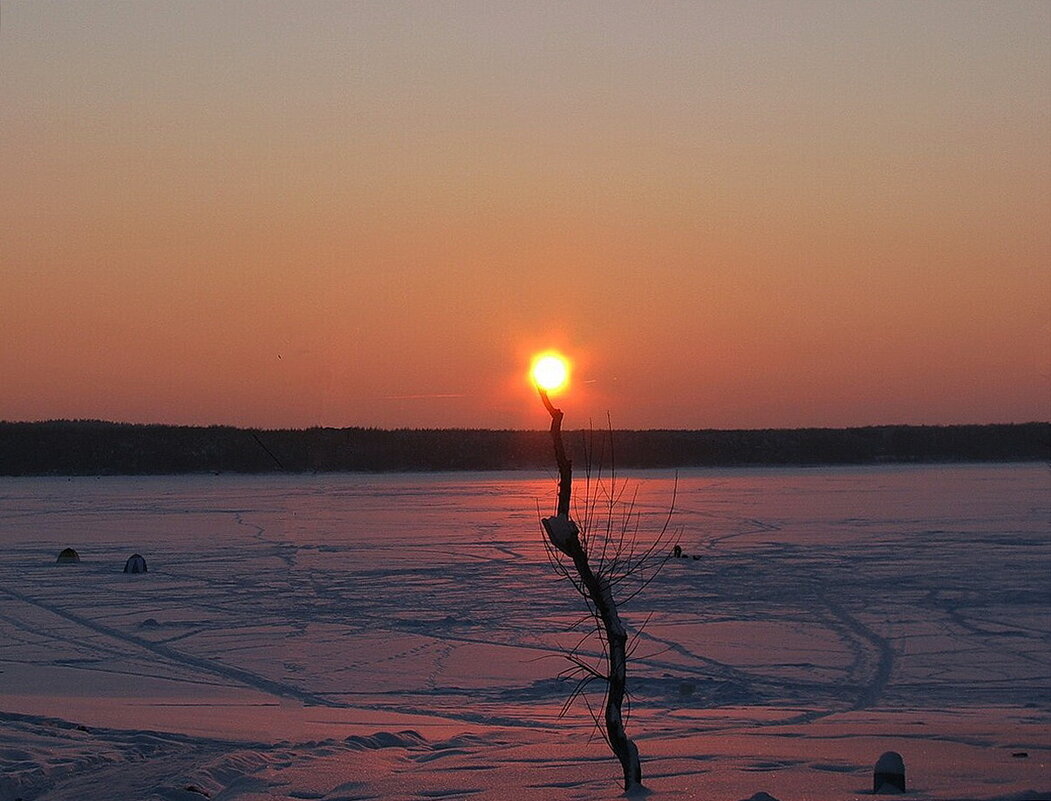 Присело отдохнуть - Людмила Смородинская