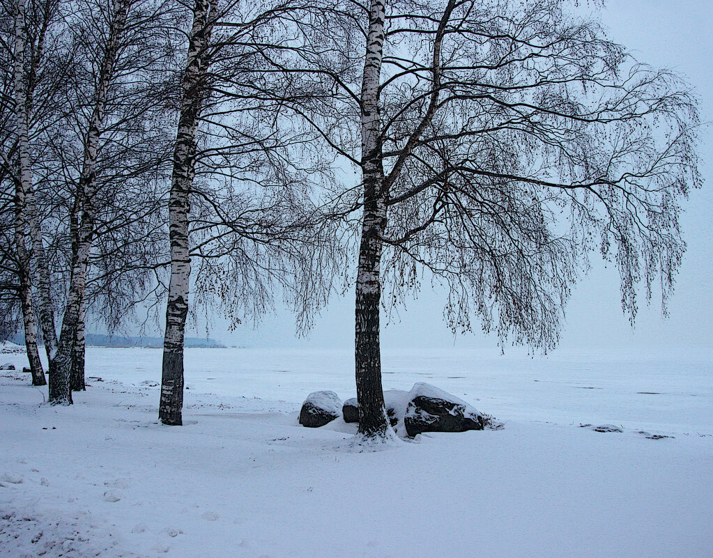 *** - Сергей Григорьев