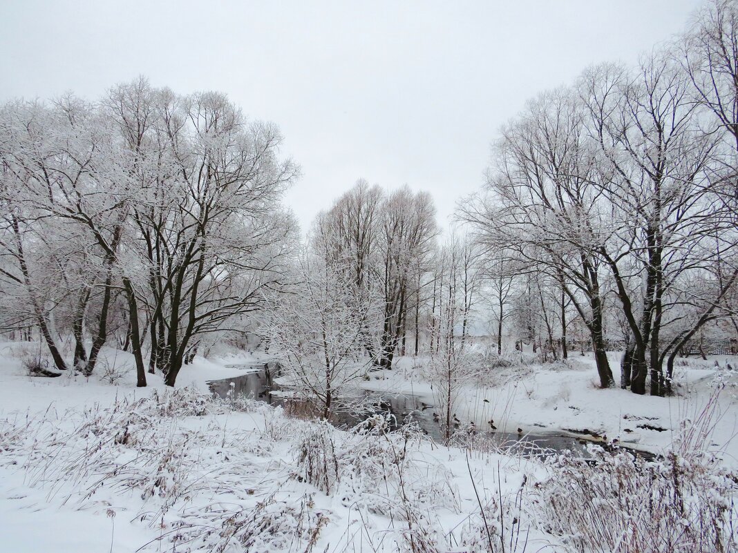 Зимой у городской речки - Андрей Снегерёв