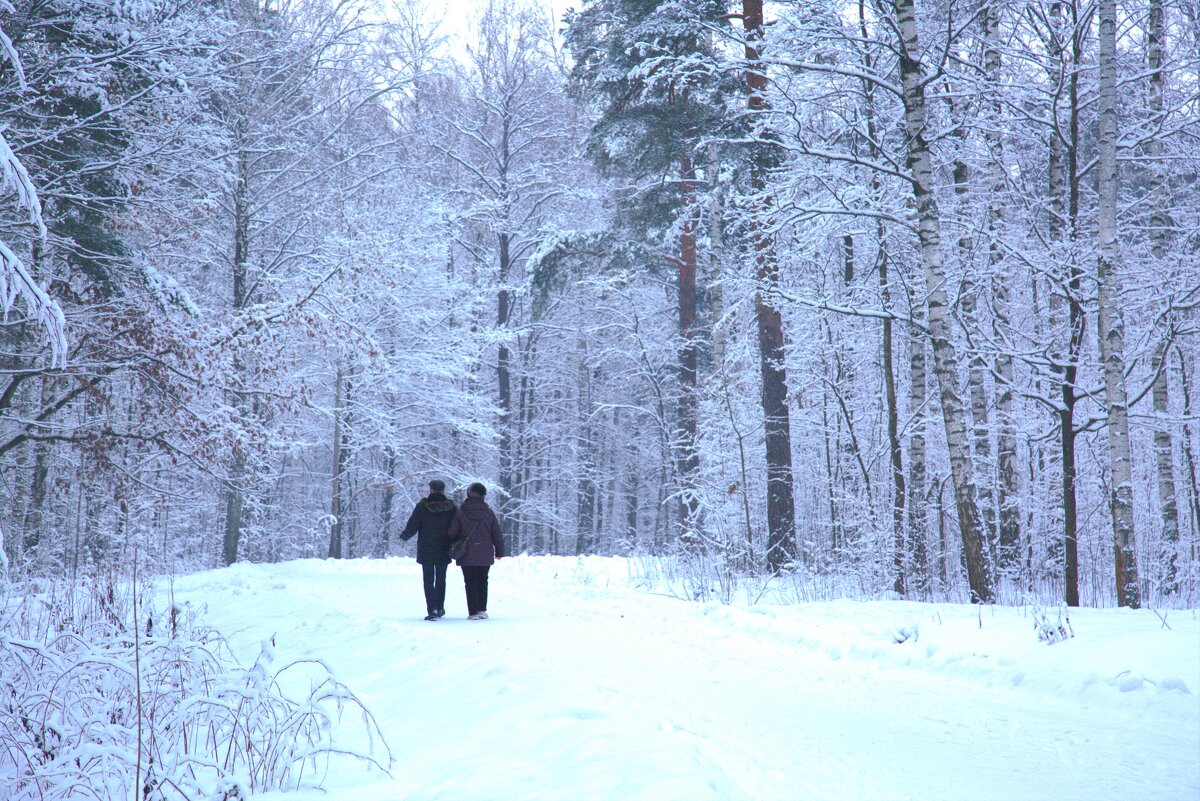 Прогулка по зимнему парку - Танзиля Завьялова
