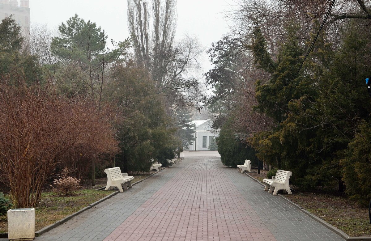 Одинокие скамейки в городском саду... - Александр Стариков