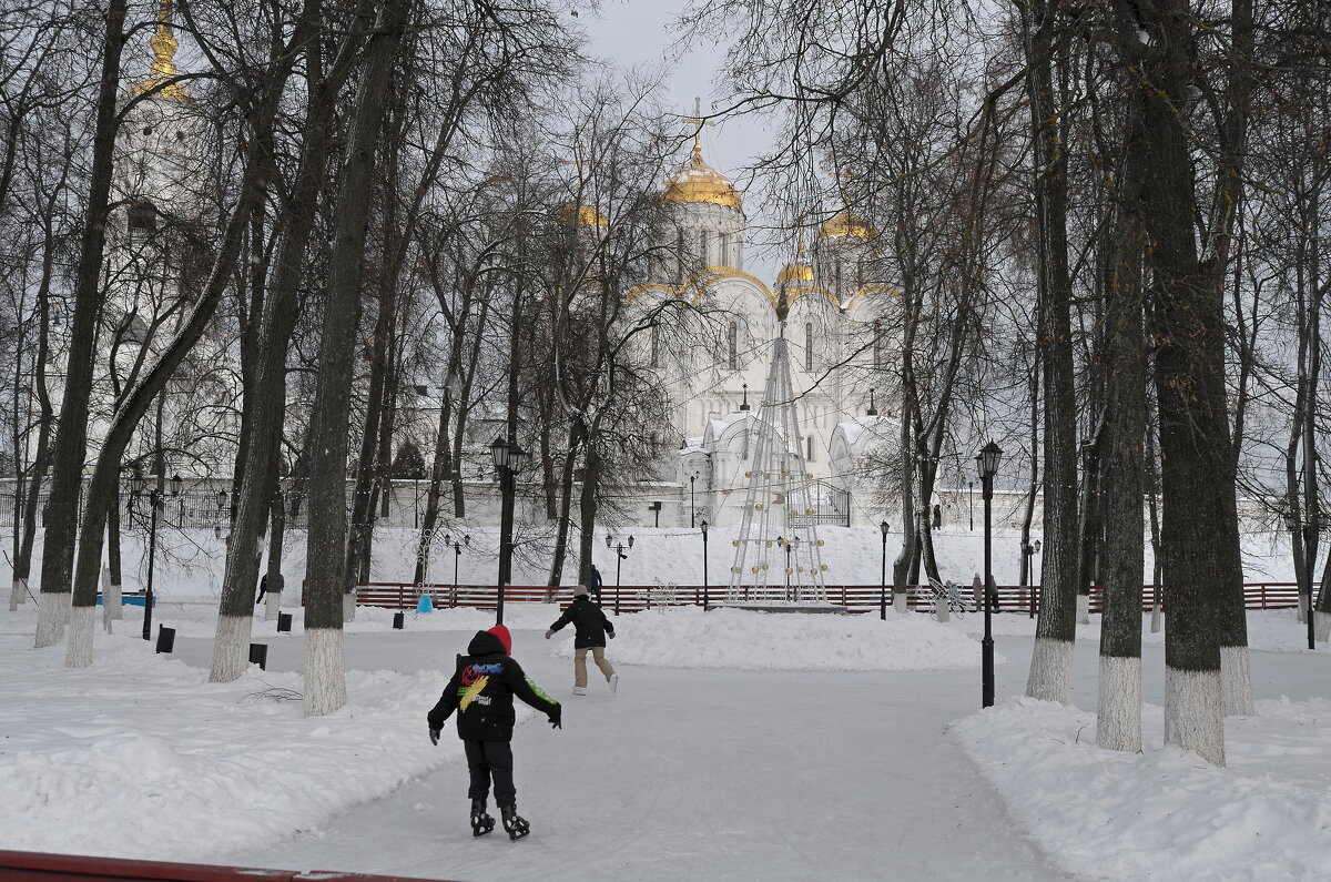 Каток в парке - Андрей Зайцев