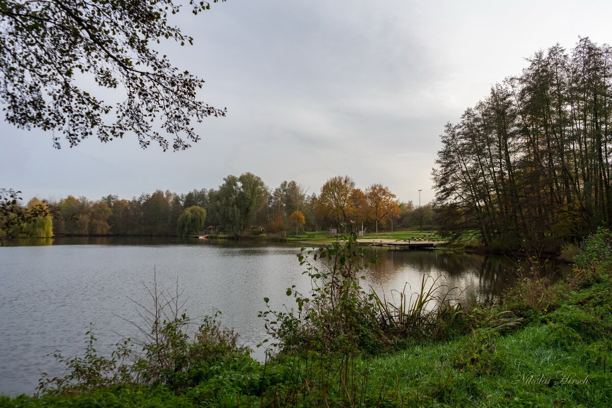 На Беркеле - Николай Гирш