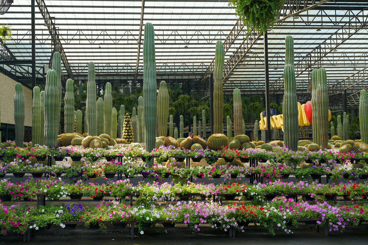 Тропический сад Нонг Нуч (Таиланд, Паттайя) - Иван Литвинов