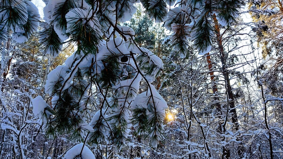 *** - Валентина 