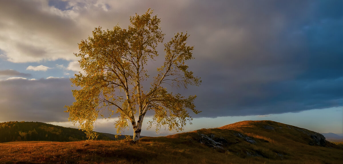 Осенний пейзаж - Aleksey Afonin