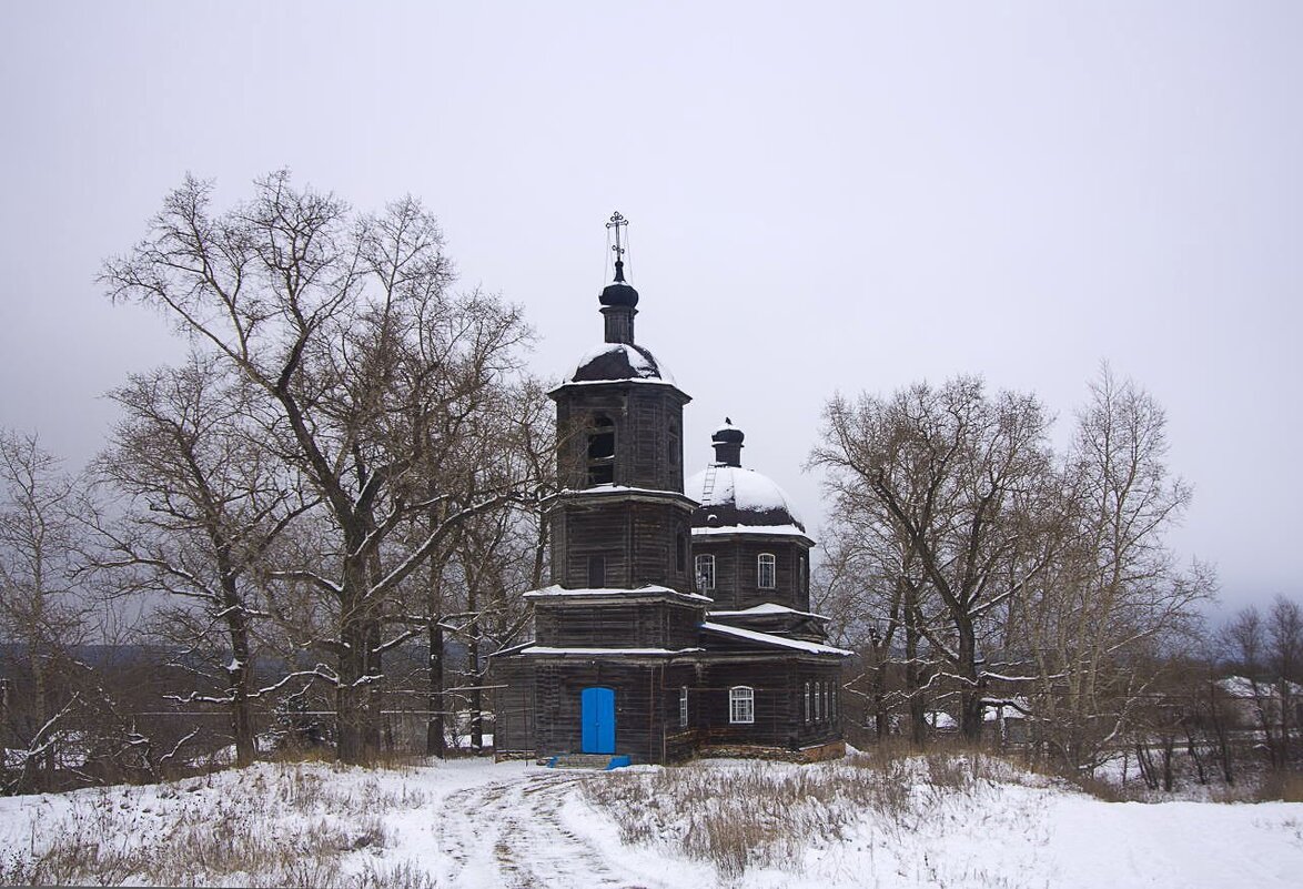 В области - Пасечник 