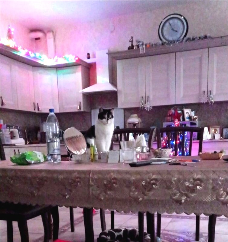 Мурзилка решила, что она будет лучшим украшением стола на Новогодние праздники - Татьяна Р 