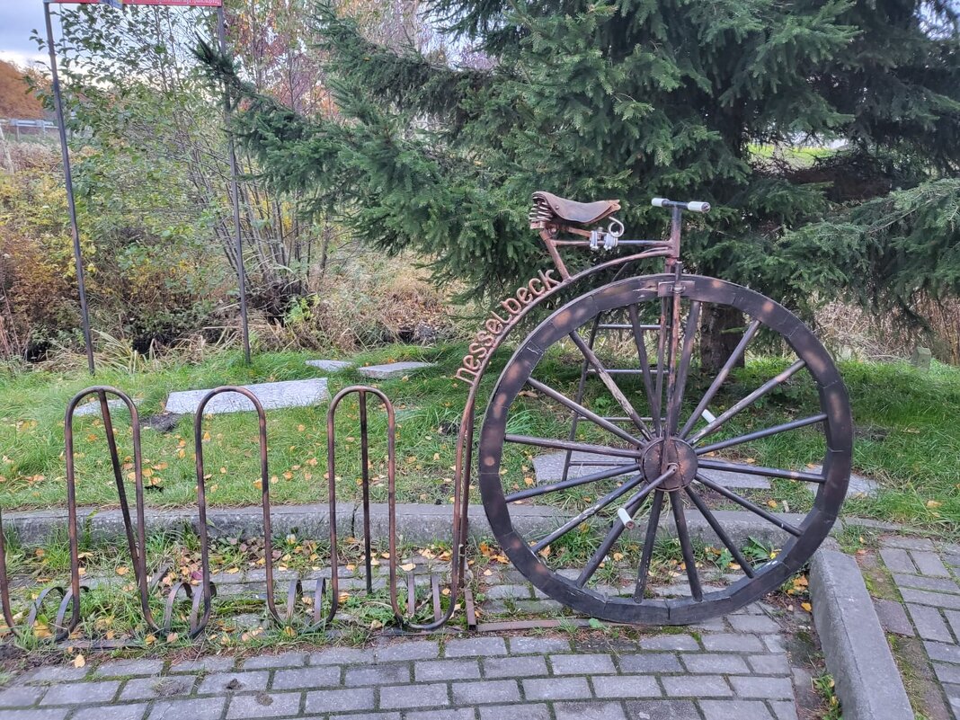 колесо-велосипед - Владимир 