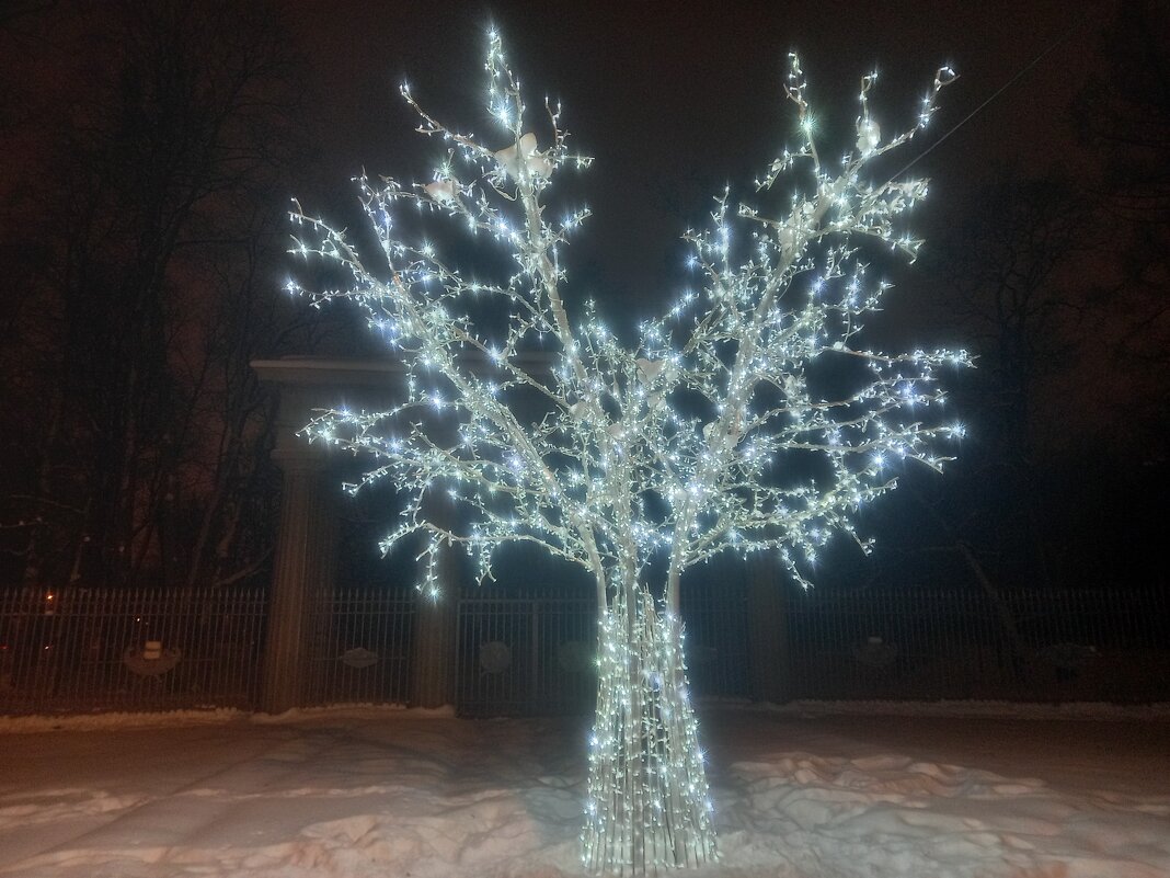Светящееся дерево - Сапсан 