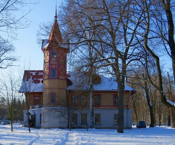 Дом с башней - Вера Щукина