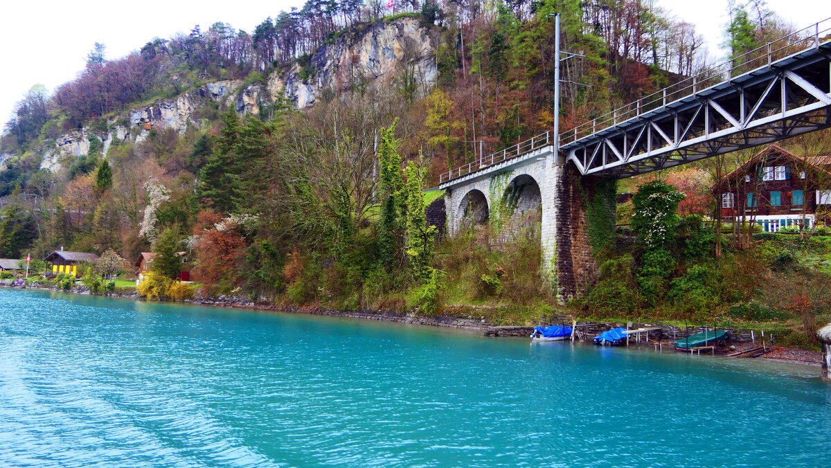 Brienz Schweiz  - "The Natural World" Александер