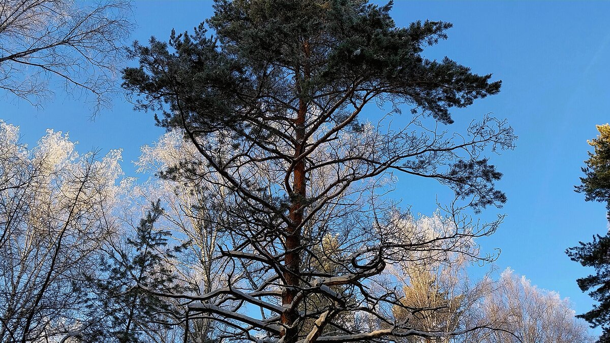 К солнцу - Валентина 