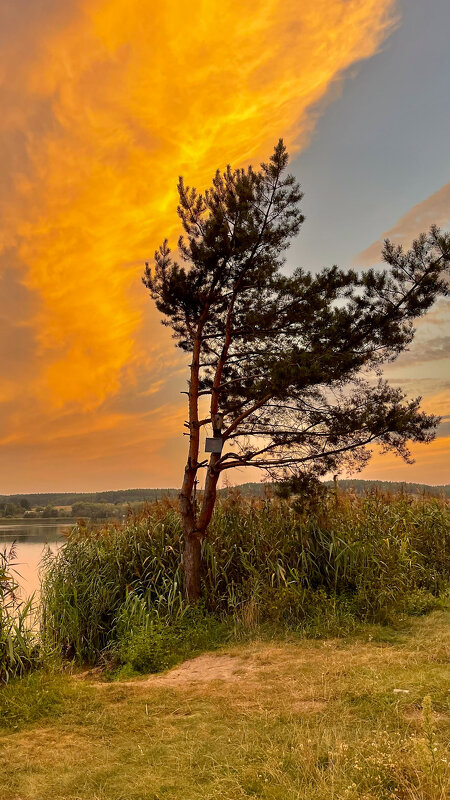 Рассвет на озере - Денис Кашкан