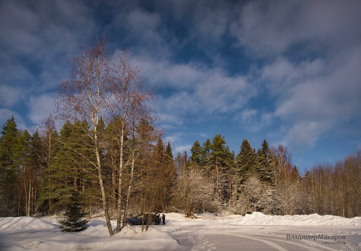 "Солнечный день после снегопада"© - Владимир Макаров