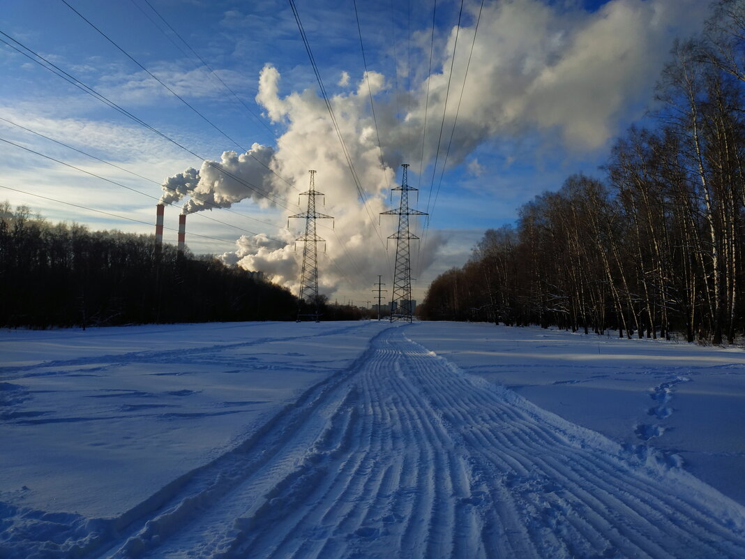 Зима в Лосином острове (небо с интервалом 20 минут, снимок 1) - Андрей Лукьянов