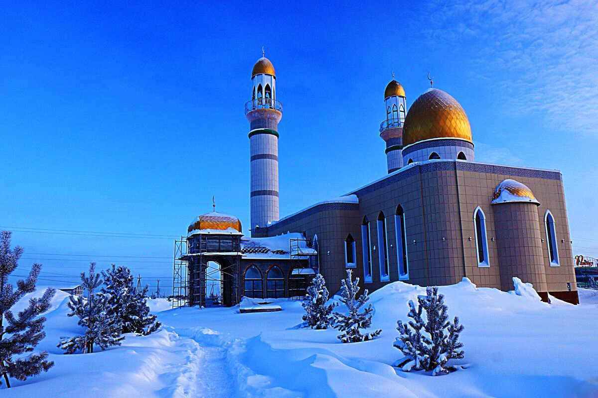 Февраль...Нефтеюганская мечеть! - Владимир 