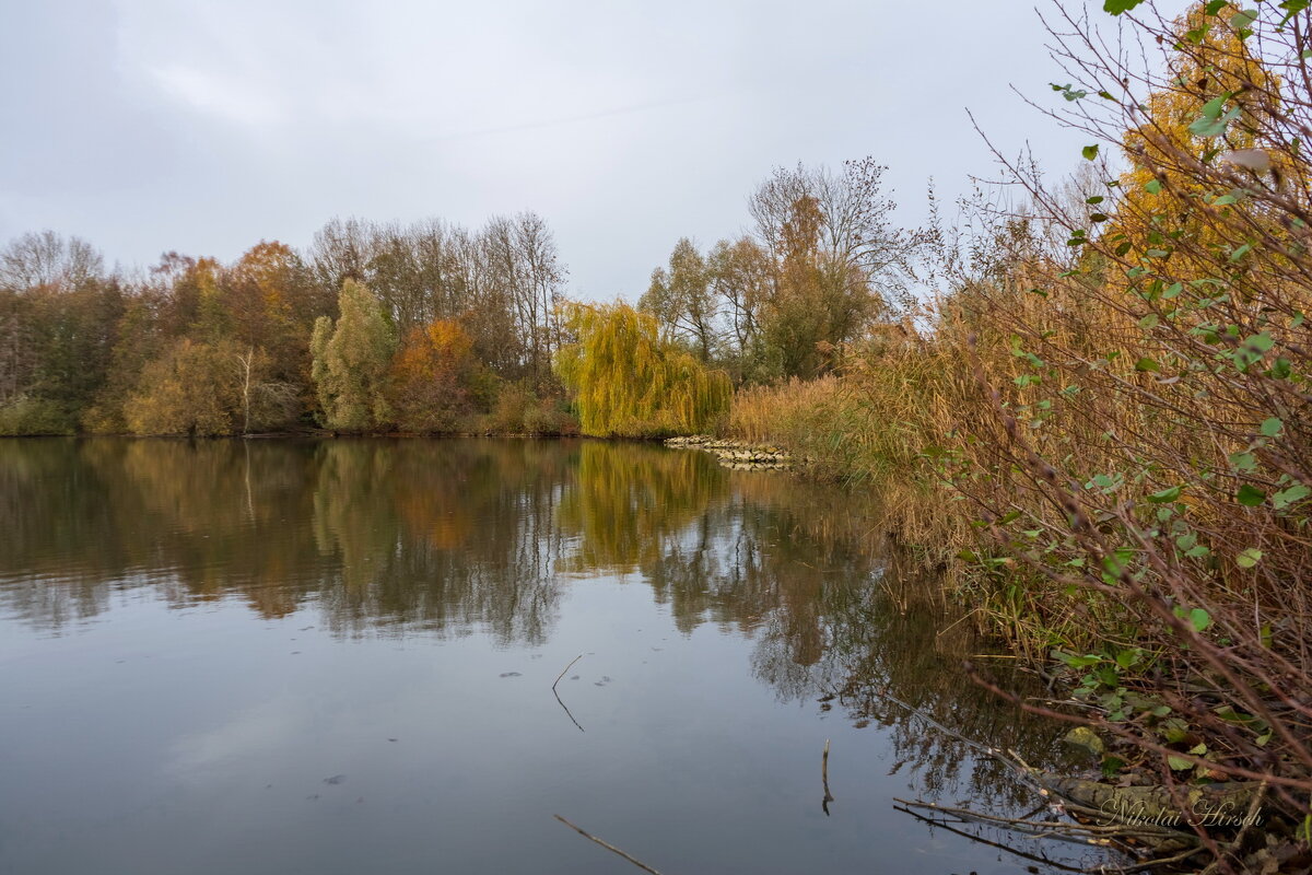 Озеро в ноябре... - Николай Гирш