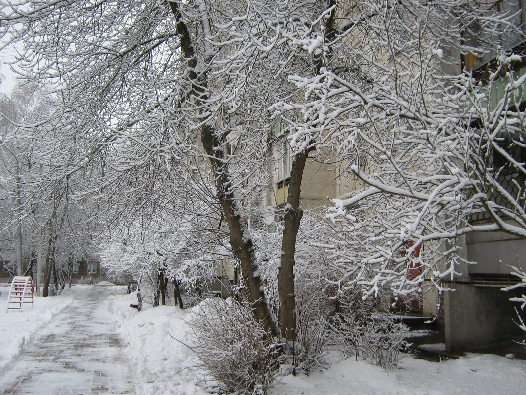 Зимой - Елена Семигина