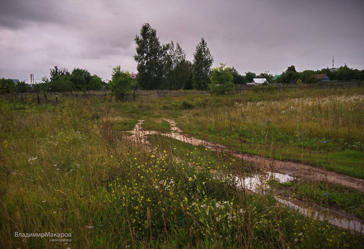 "После летнего дождя. Ностальгия"© - Владимир Макаров
