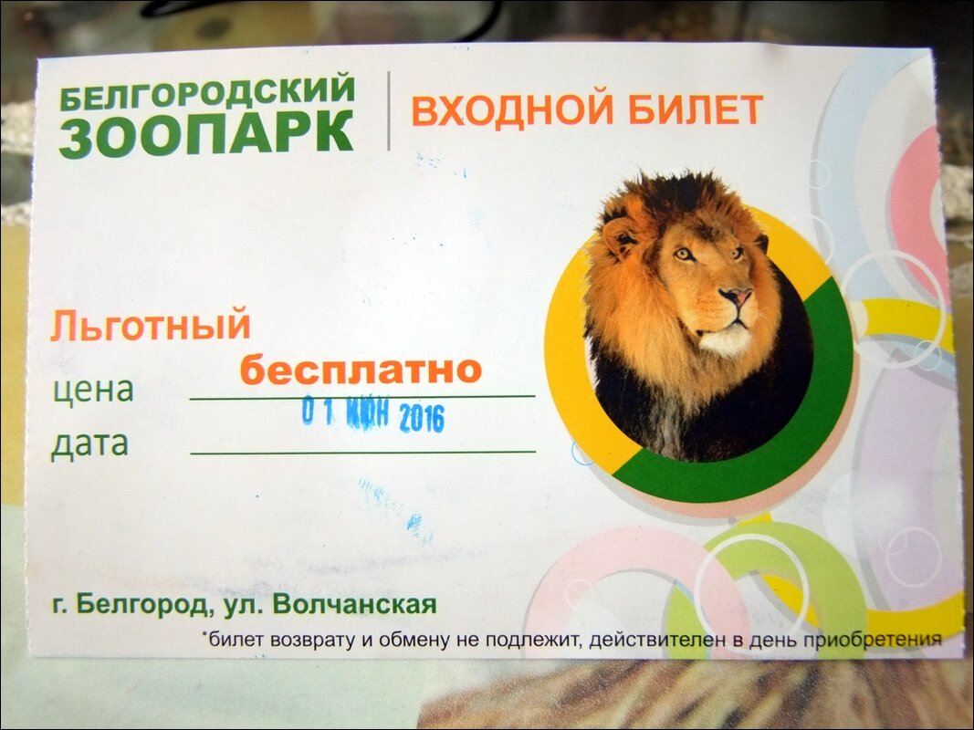 На открытие Зоопарка - Сеня Белгородский